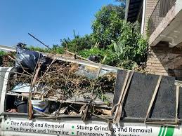 Best Office Cleanout  in Belle Glade, FL